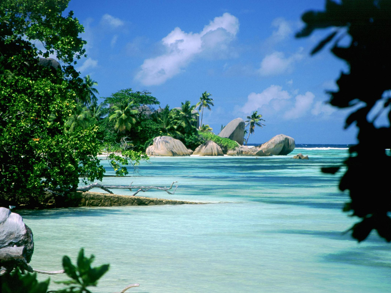 Тур на Сейшельские острова от турагентства «АФИТИ»